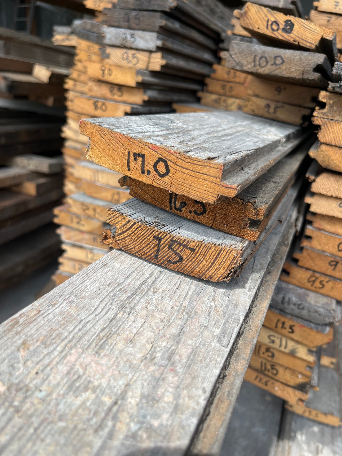 B&B 3 1/2" Pine Floor