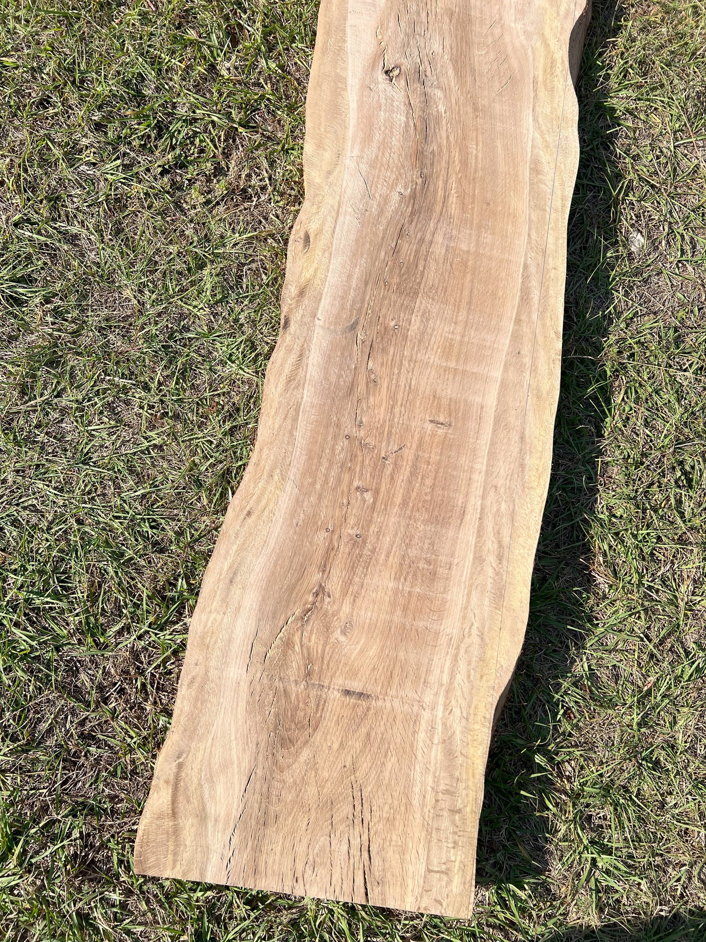 McCauley Oak Slabs