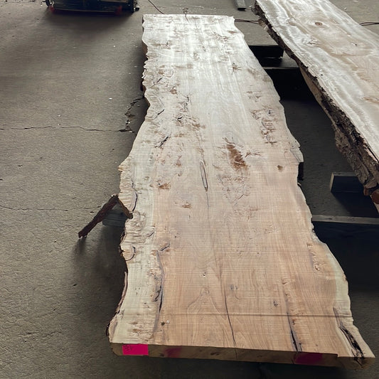 Pecan Slab #1