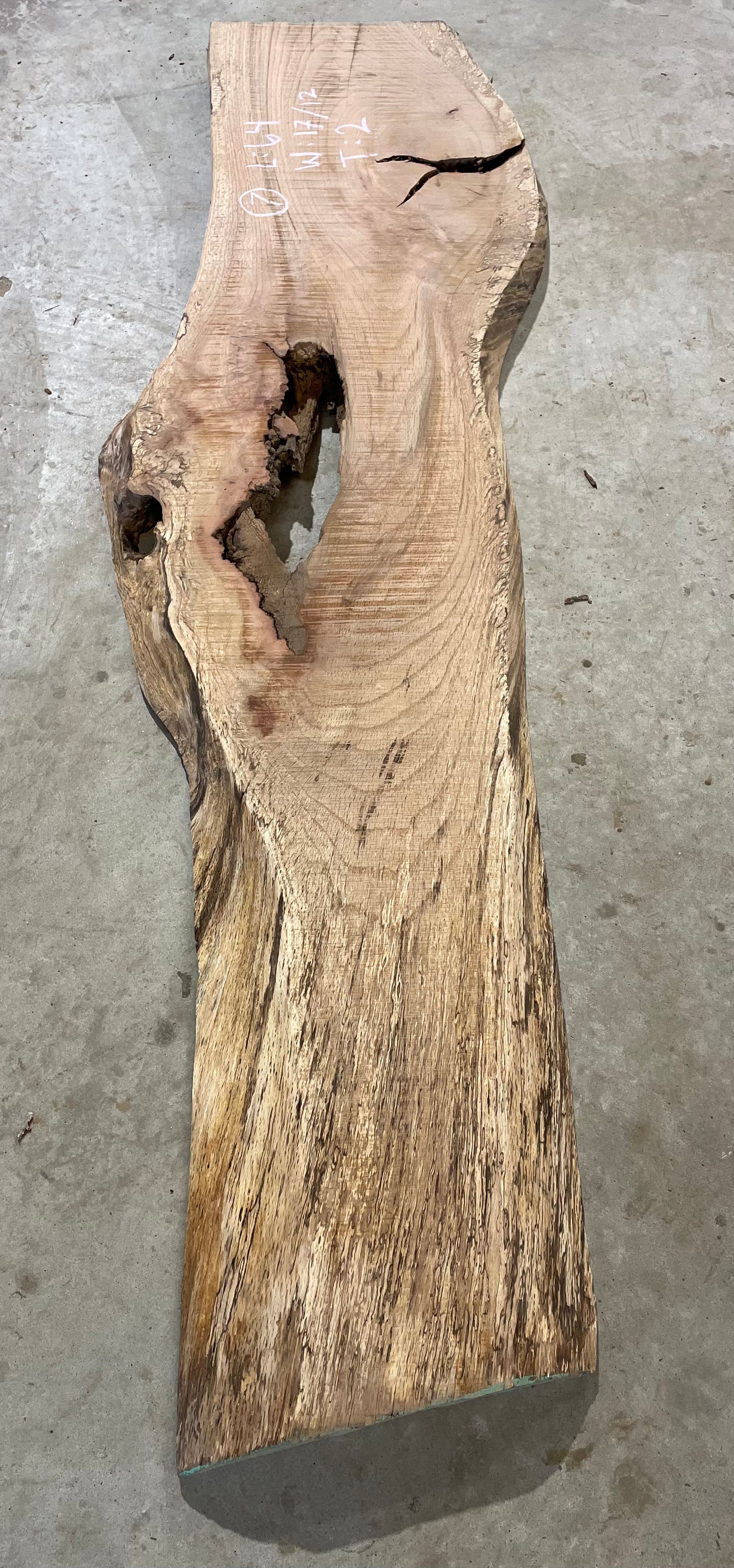 Spalted Red Oak Slab #7
