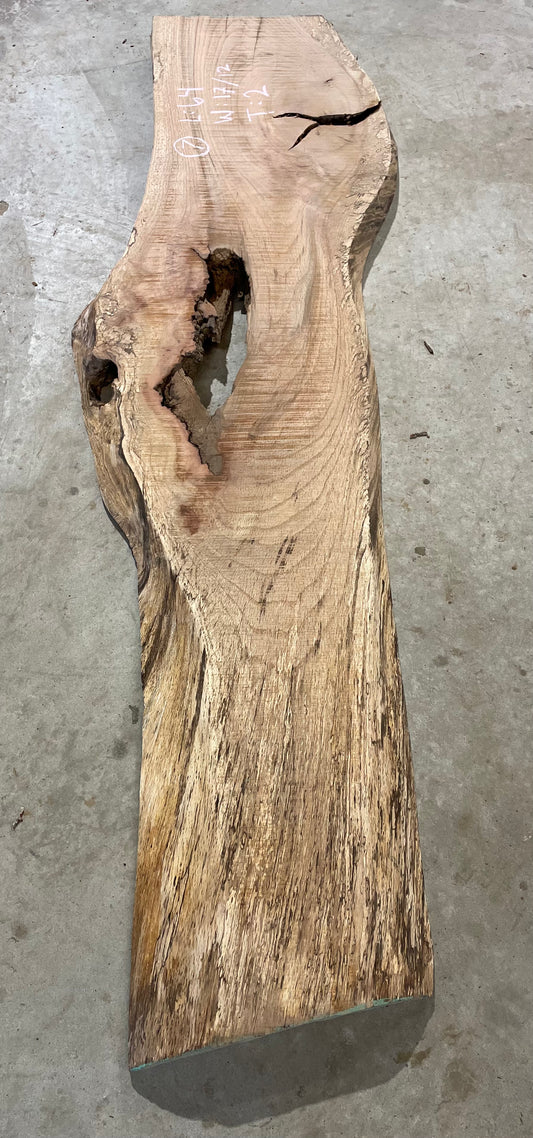 Spalted Red Oak Slab #7