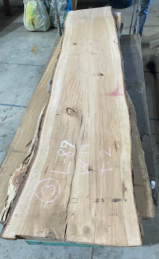 Pecan Slab #3