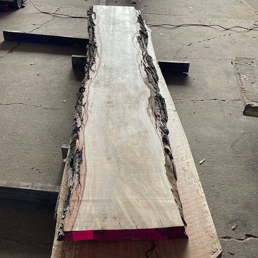 Pecan Slab #3