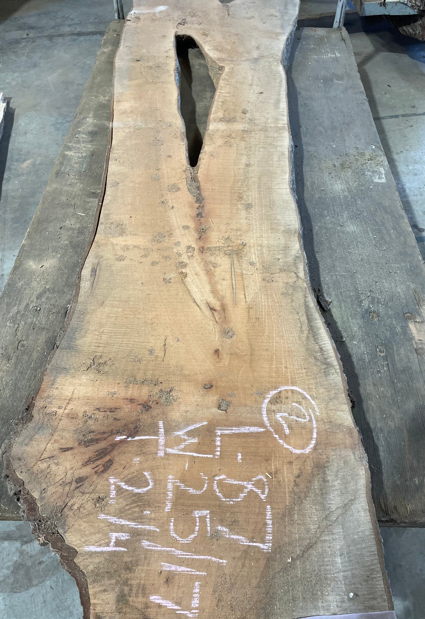 Maple Slab #2
