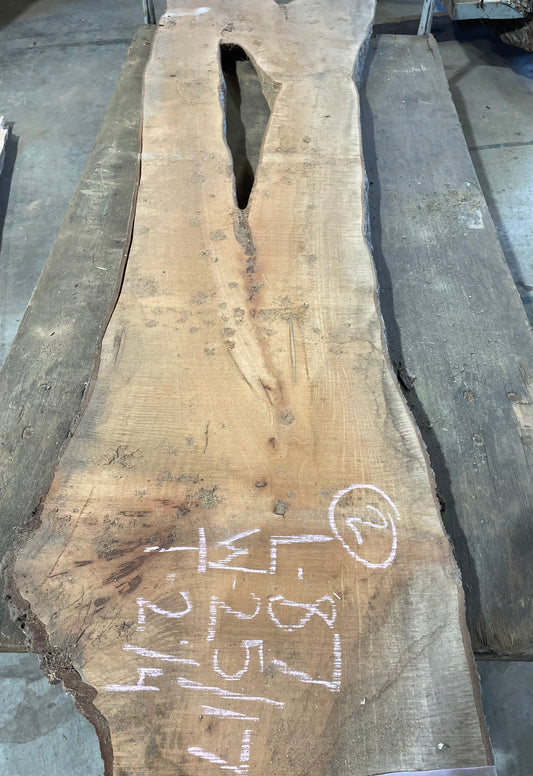 Maple Slab #2