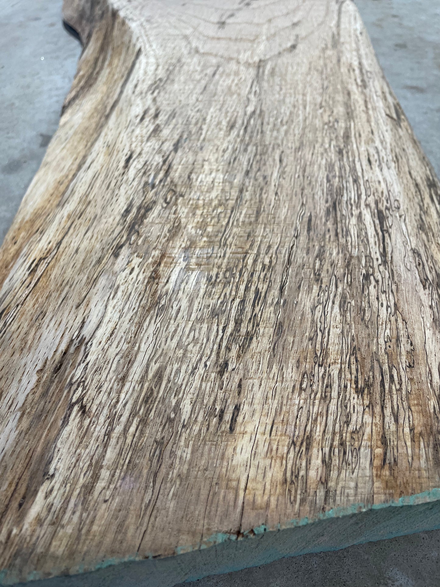 Spalted Red Oak Slab #7