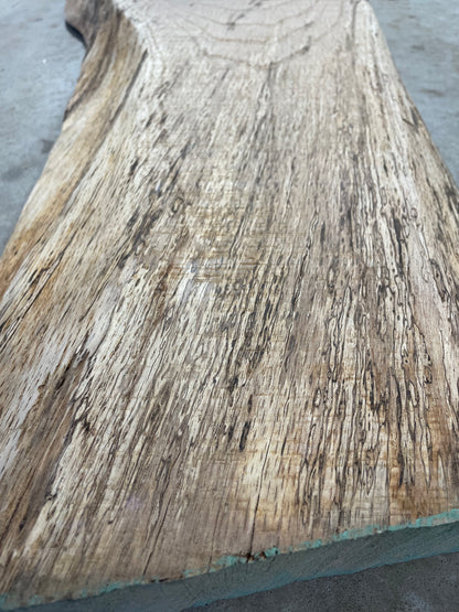 Spalted Red Oak Slab #7