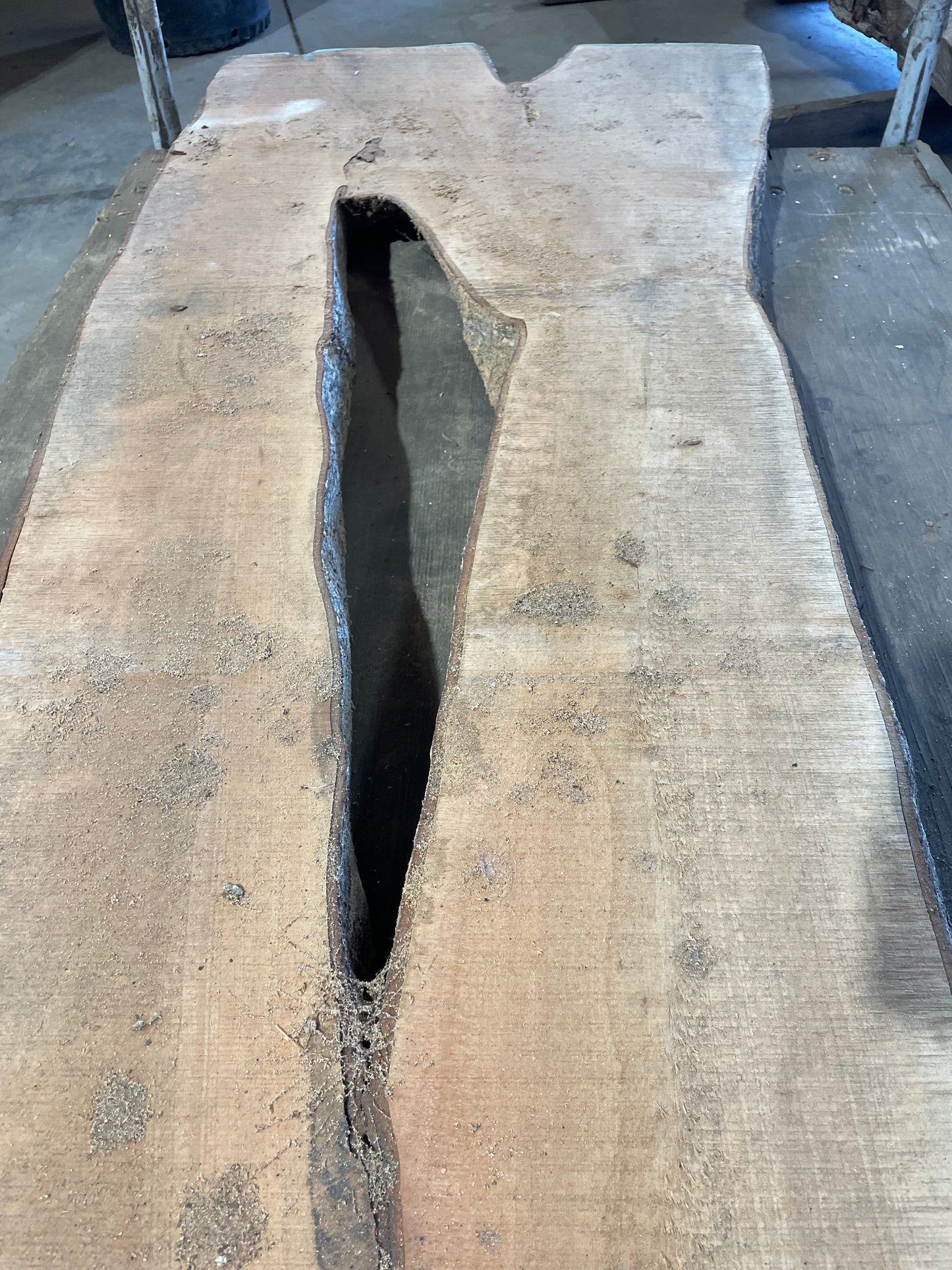 Maple Slab #2