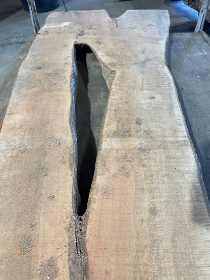 Maple Slab #2