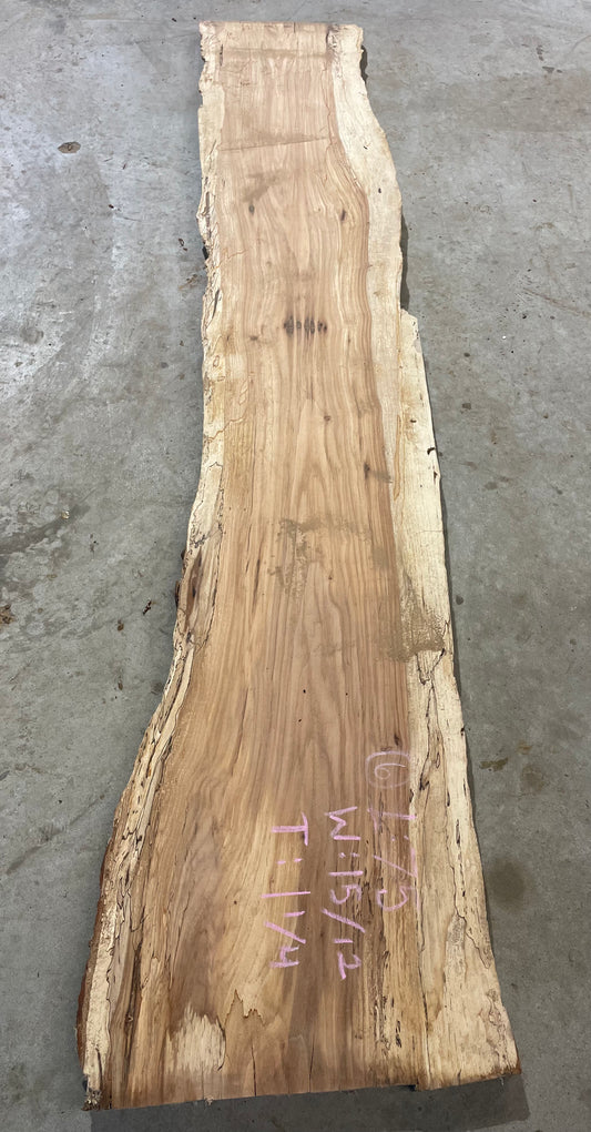 Pecan Slab #6