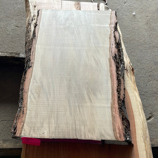 Pecan Slab #6