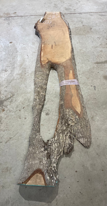 Maple Slab #1