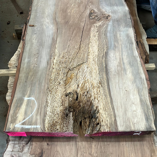 Pecan Slab #2