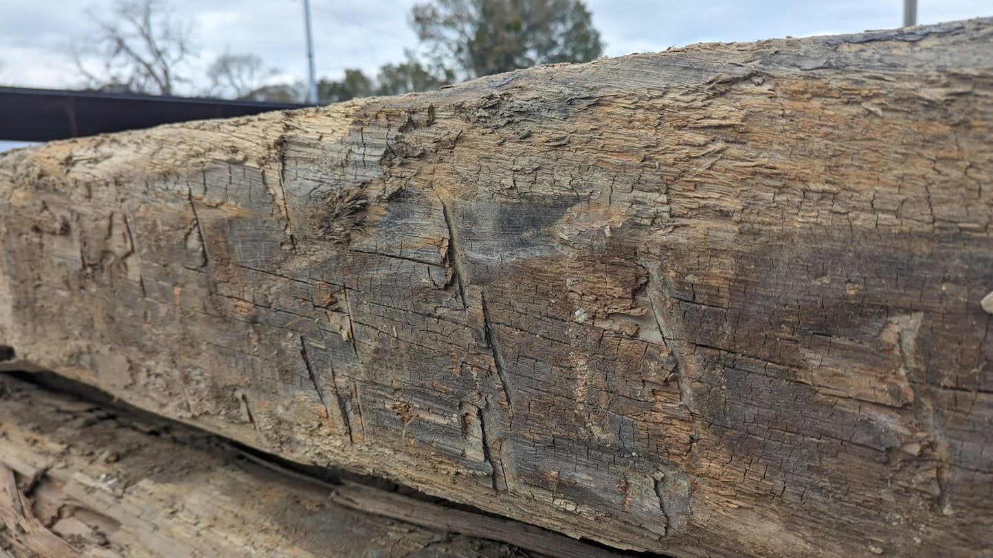 Hand-Hewn Historic Pilings