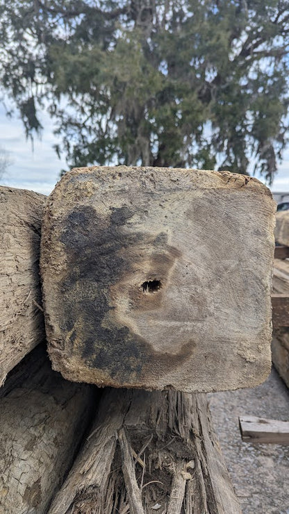 Hand-Hewn Historic Pilings